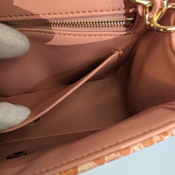 Chanel Salmon Pink Mini Rectangular Classic Flap Bag in Exotic Leather - Picture 13 of 16